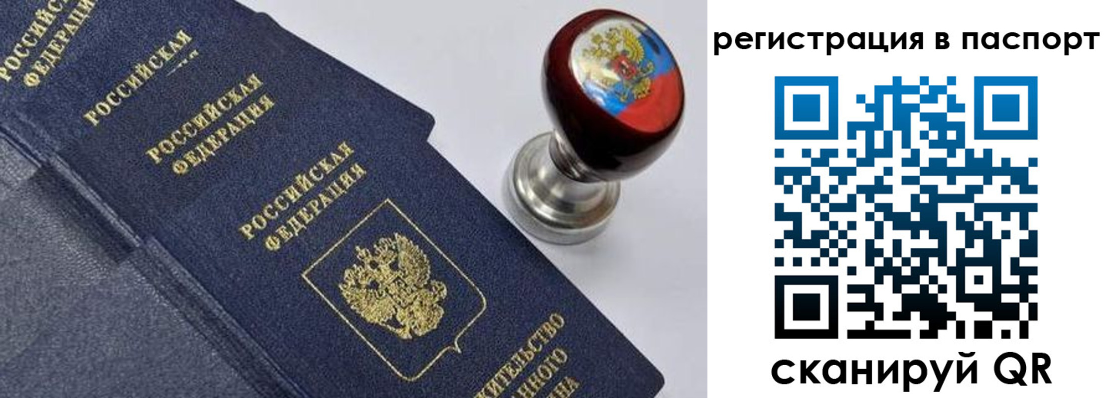 прописка поиск в Мордовии